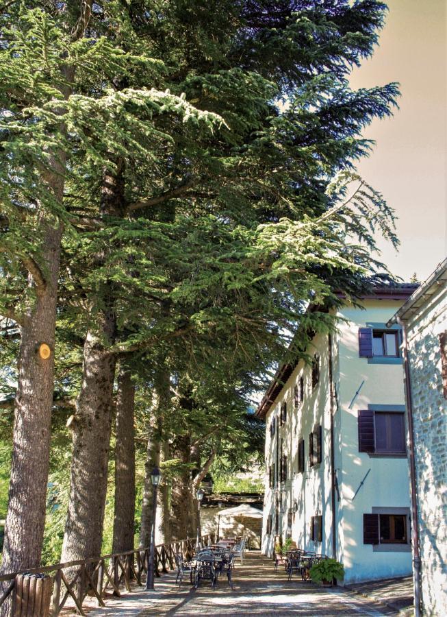 Hotel Il Palazzo Ridracoli à Bagno di Romagna Extérieur photo